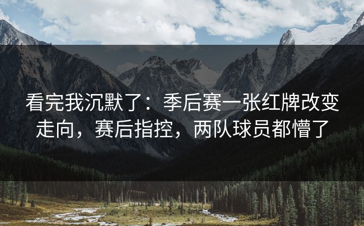 看完我沉默了：季后赛一张红牌改变走向，赛后指控，两队球员都懵了