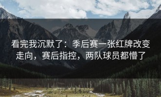 看完我沉默了：季后赛一张红牌改变走向，赛后指控，两队球员都懵了