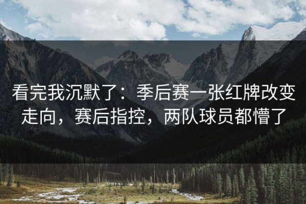 看完我沉默了：季后赛一张红牌改变走向，赛后指控，两队球员都懵了