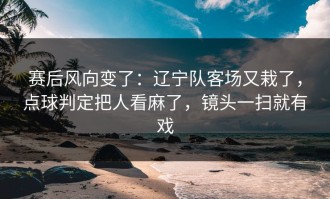 赛后风向变了：辽宁队客场又栽了，点球判定把人看麻了，镜头一扫就有戏