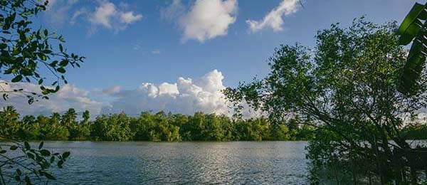 说实话，皇马最后两分钟连丢分，教练席表情说明一切，主教练语气冷到冰