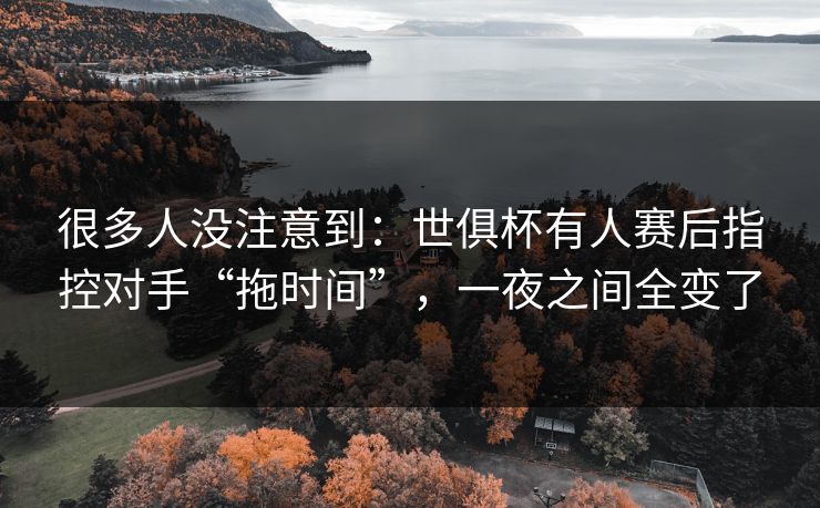 很多人没注意到：世俱杯有人赛后指控对手“拖时间”，一夜之间全变了